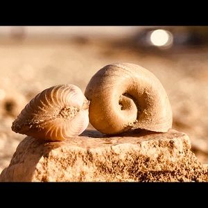 Meet your Posher, Sergio